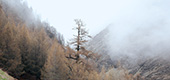 Village thumbnail