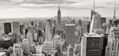 Contrast thumbnail