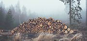 Explore thumbnail